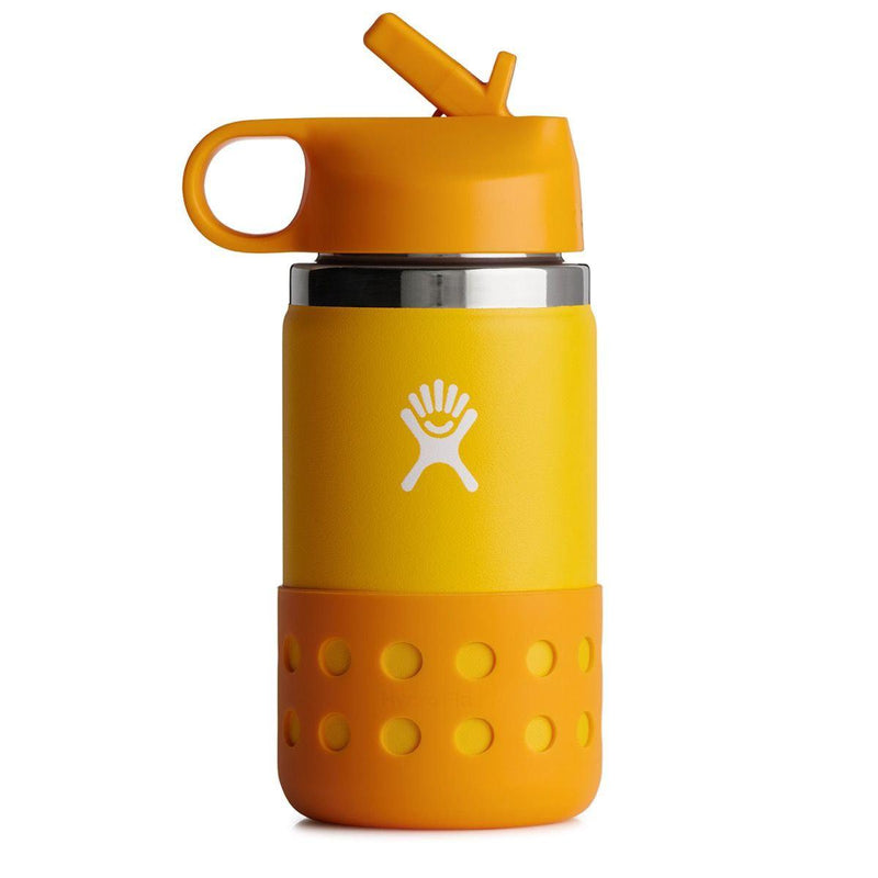 Hydro Flask 32oz Wide Mouth Water Bottle with Straw France