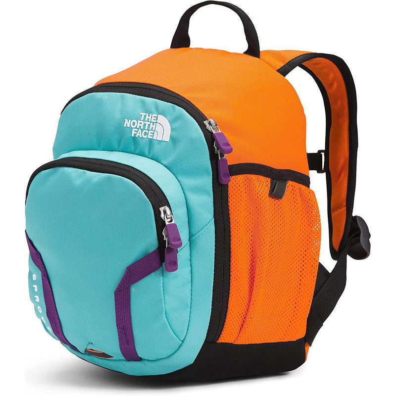 North face best sale sprout backpack pink