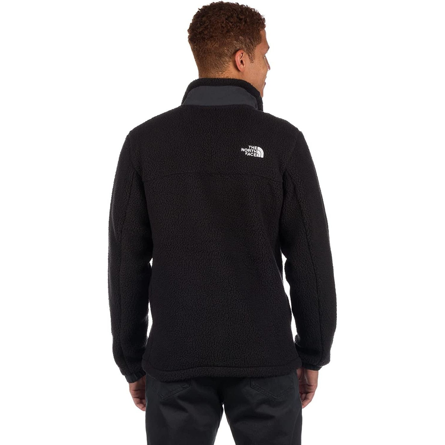 The North Face Men's Parkview Fleece Jacket