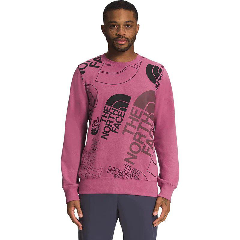 The North Face Men's Graphic Injection Crew