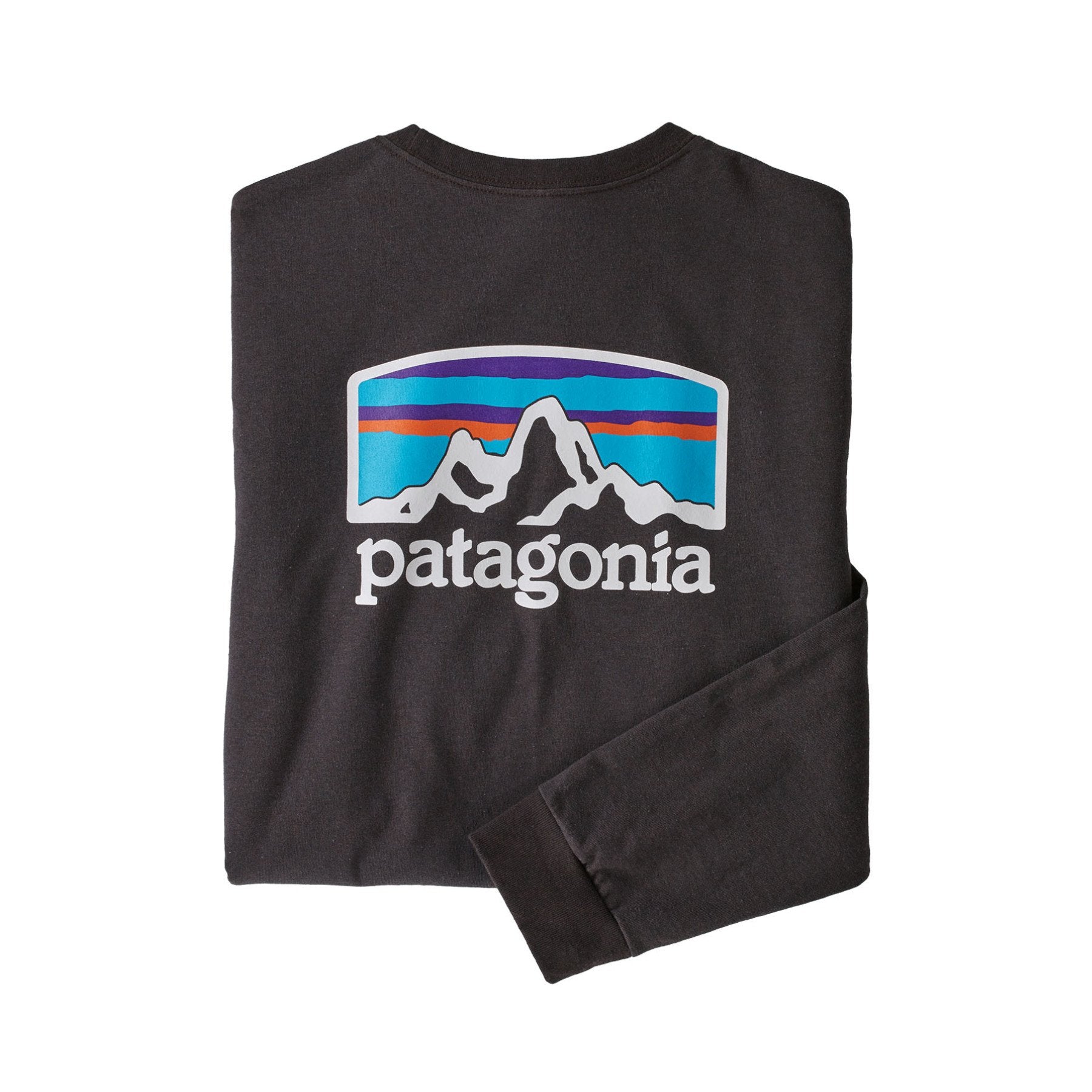 Patagonia Men's L/S Fitz Roy Horizons Responsibili-Tee